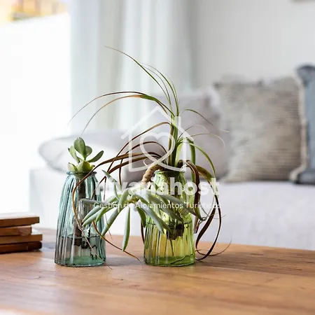 度假居 The Oasis El Medano, By Nivariahost 厄尔梅达诺